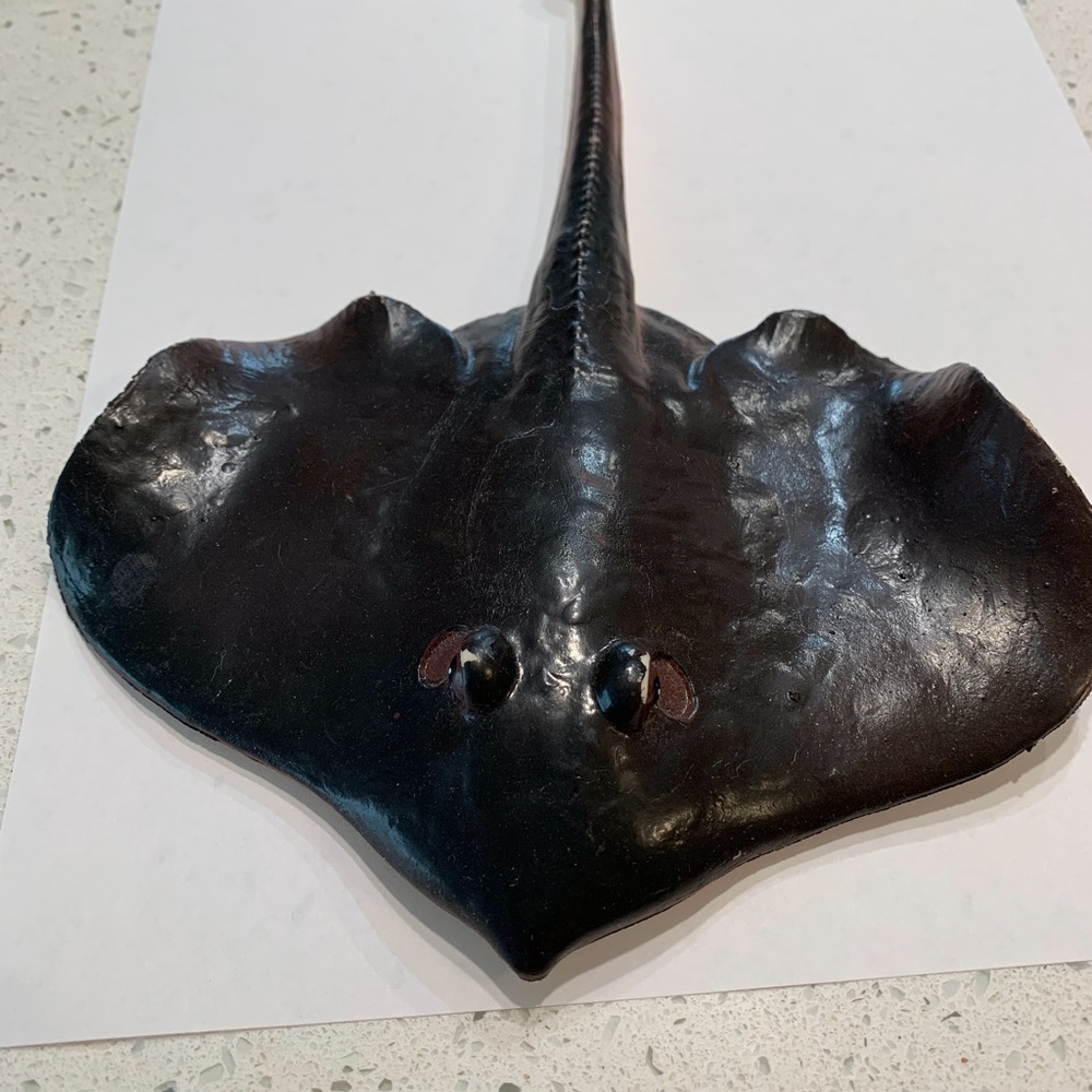 Vintage AAA Rubber Devil Fish toy from the 1990’s
